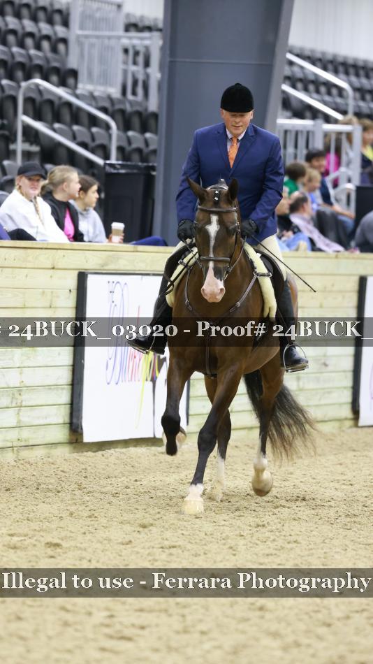 Proof 24BUCK_03020