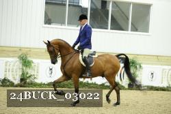 24BUCK_03022 proof