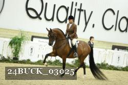 24BUCK_03025 proof