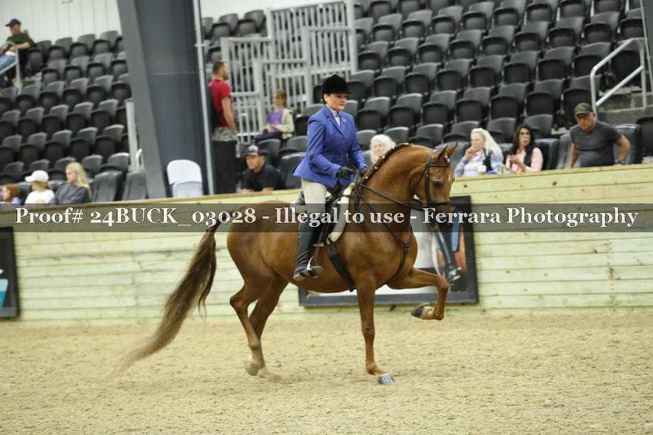 Proof 24BUCK_03028