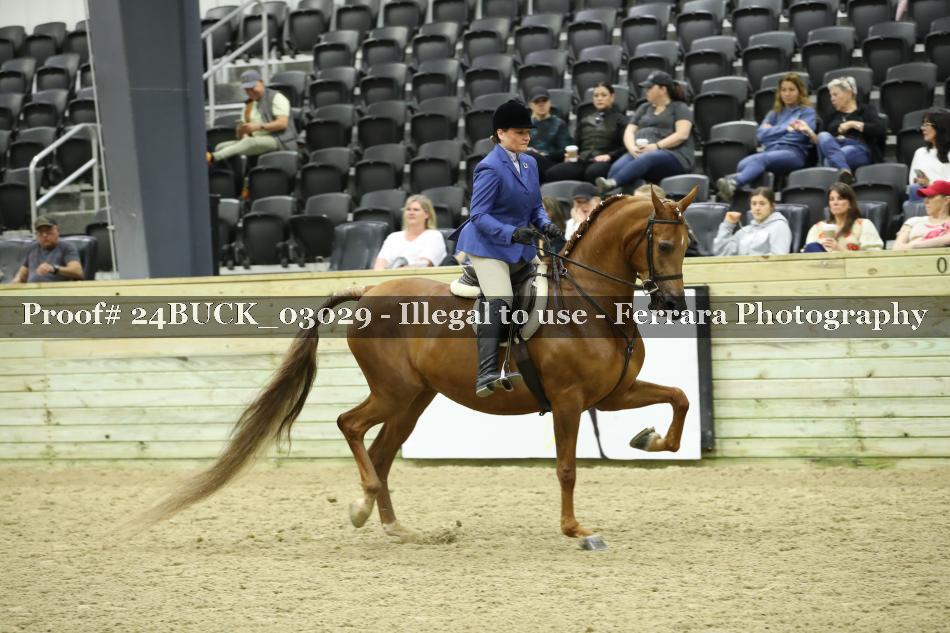Proof 24BUCK_03029