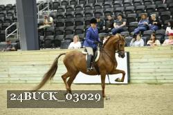 24BUCK_03029 proof