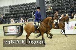 24BUCK_03031 proof