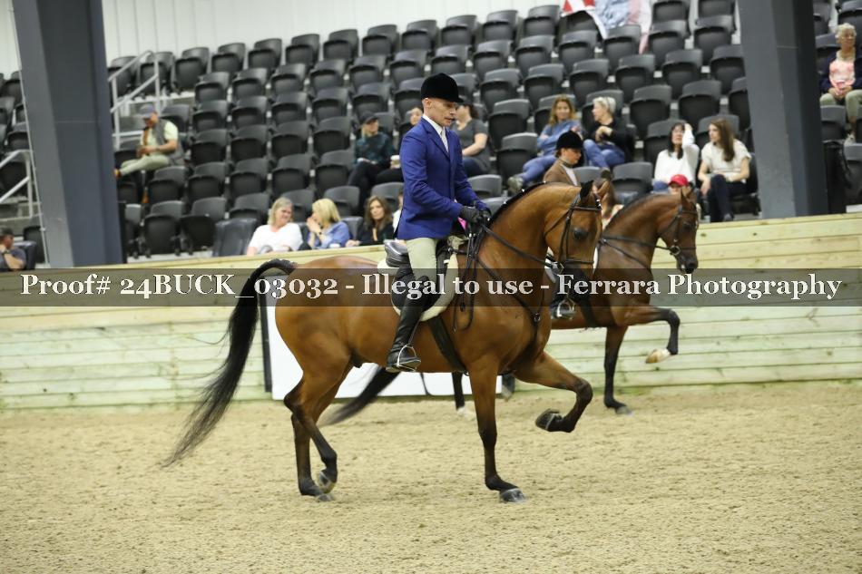 Proof 24BUCK_03032