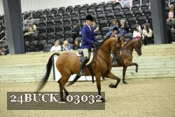 24BUCK_03032 proof