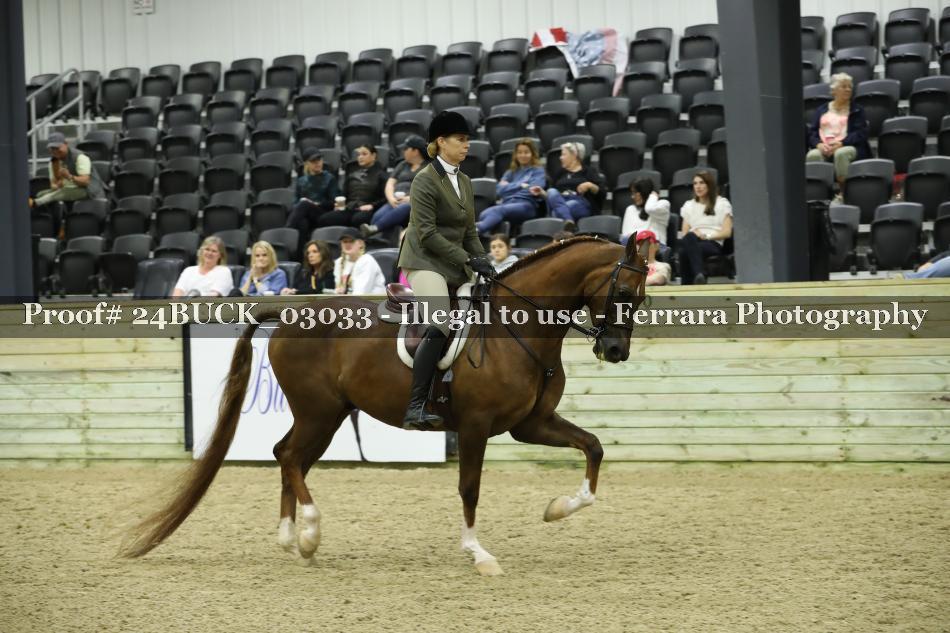 Proof 24BUCK_03033