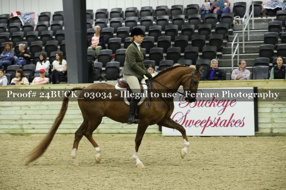 Proof 24BUCK_03034