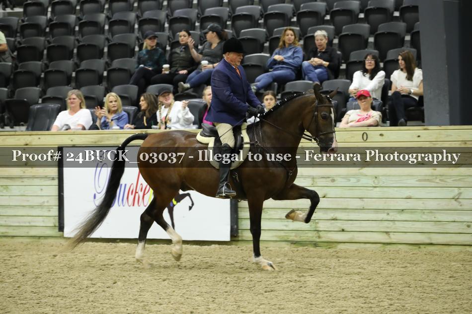 Proof 24BUCK_03037