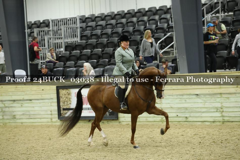 Proof 24BUCK_03038