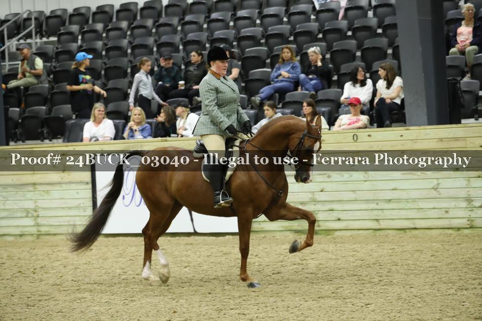 Proof 24BUCK_03040