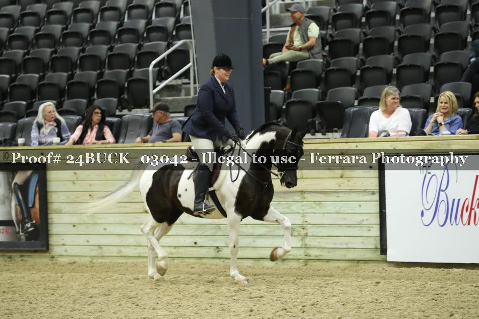 Proof 24BUCK_03042