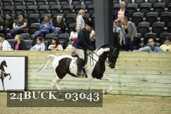 24BUCK_03043 proof