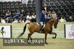 24BUCK_03046 proof