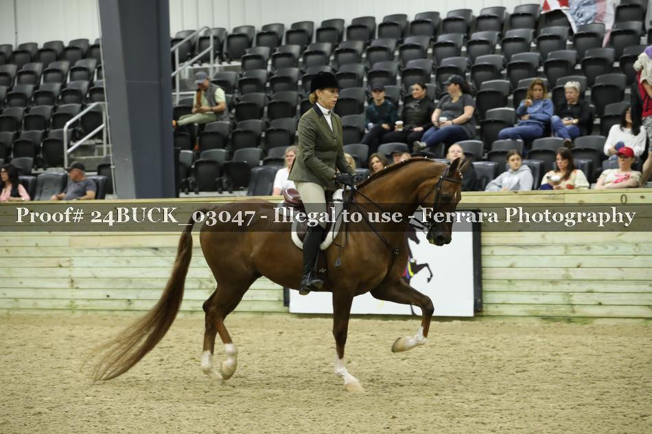 Proof 24BUCK_03047