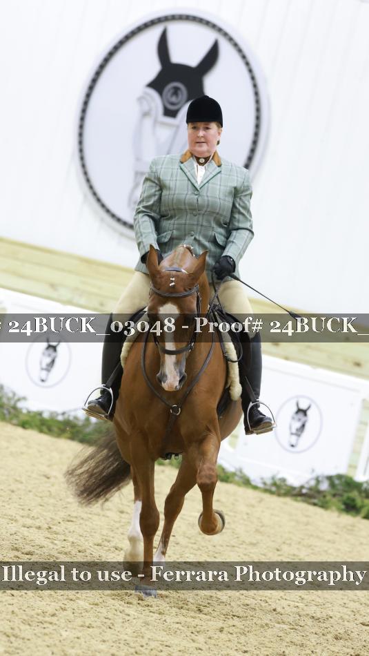 Proof 24BUCK_03048