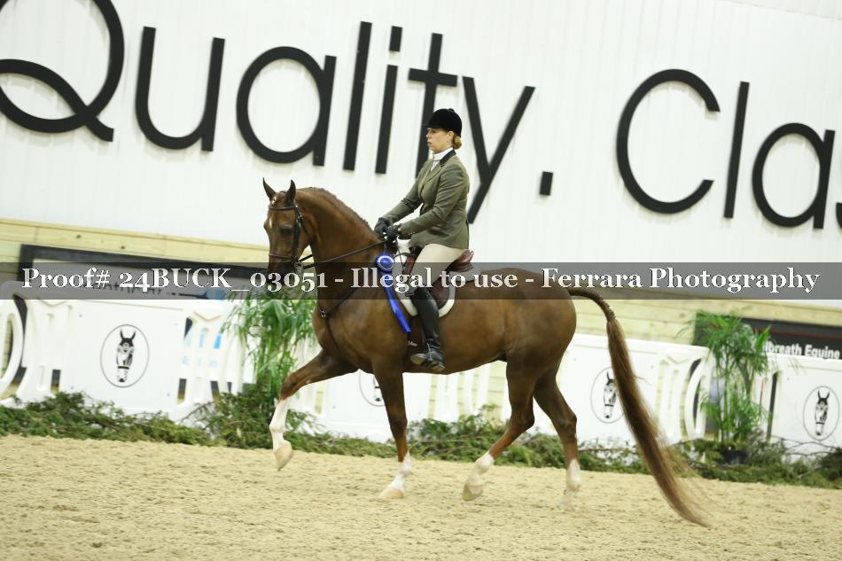 Proof 24BUCK_03051