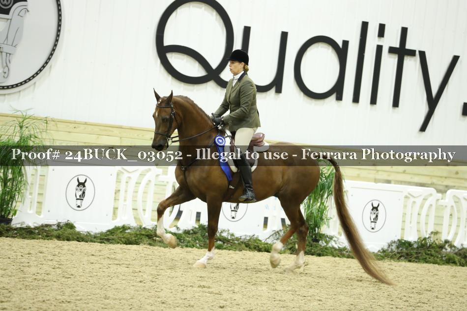 Proof 24BUCK_03052