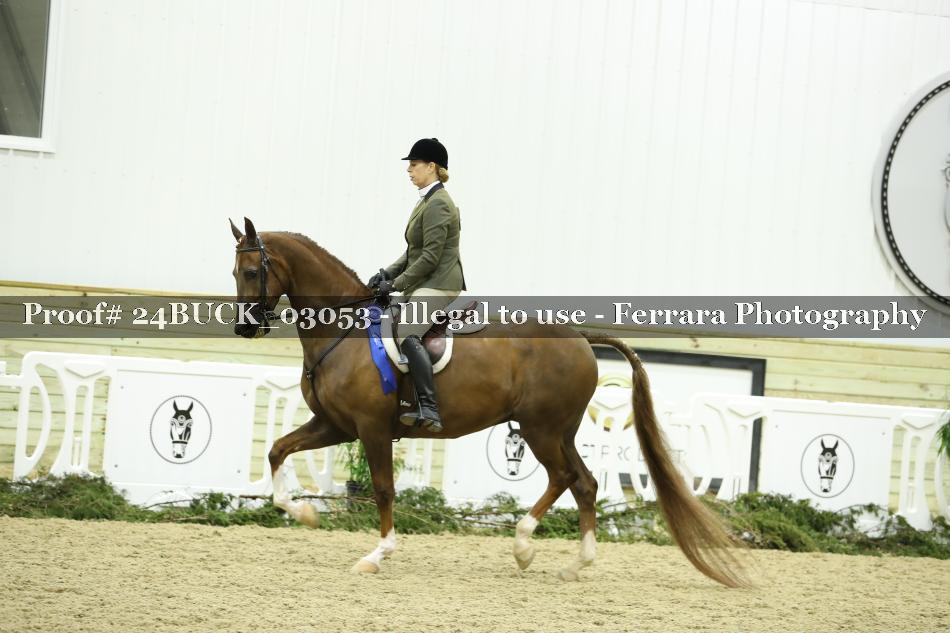 Proof 24BUCK_03053