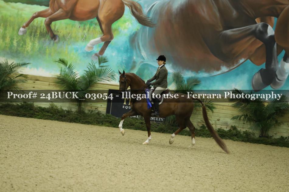 Proof 24BUCK_03054