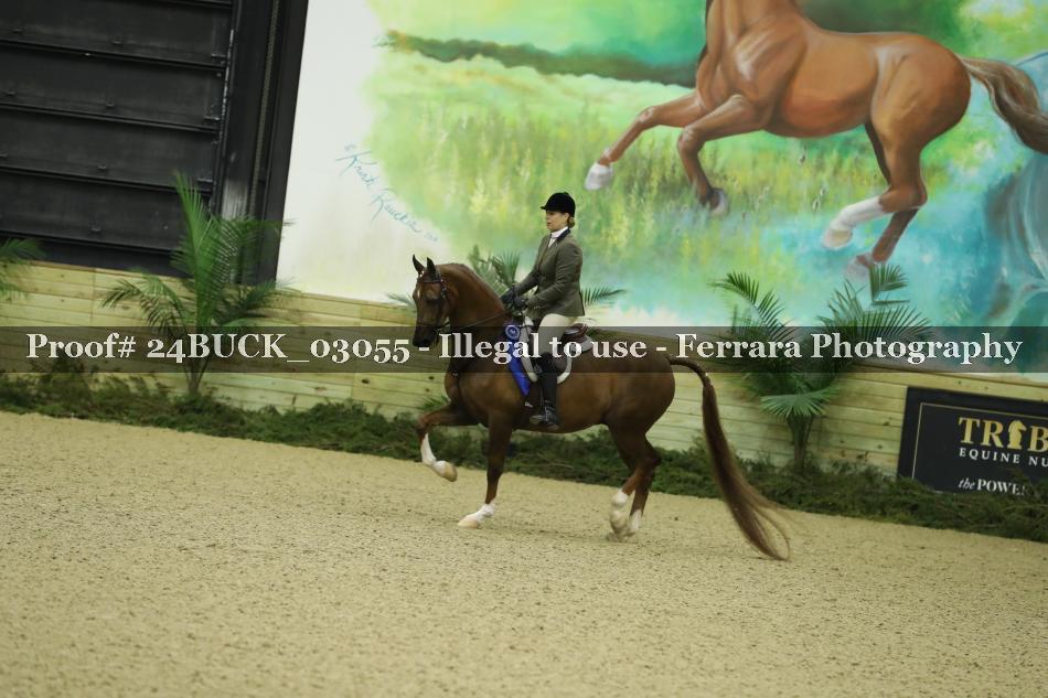 Proof 24BUCK_03055