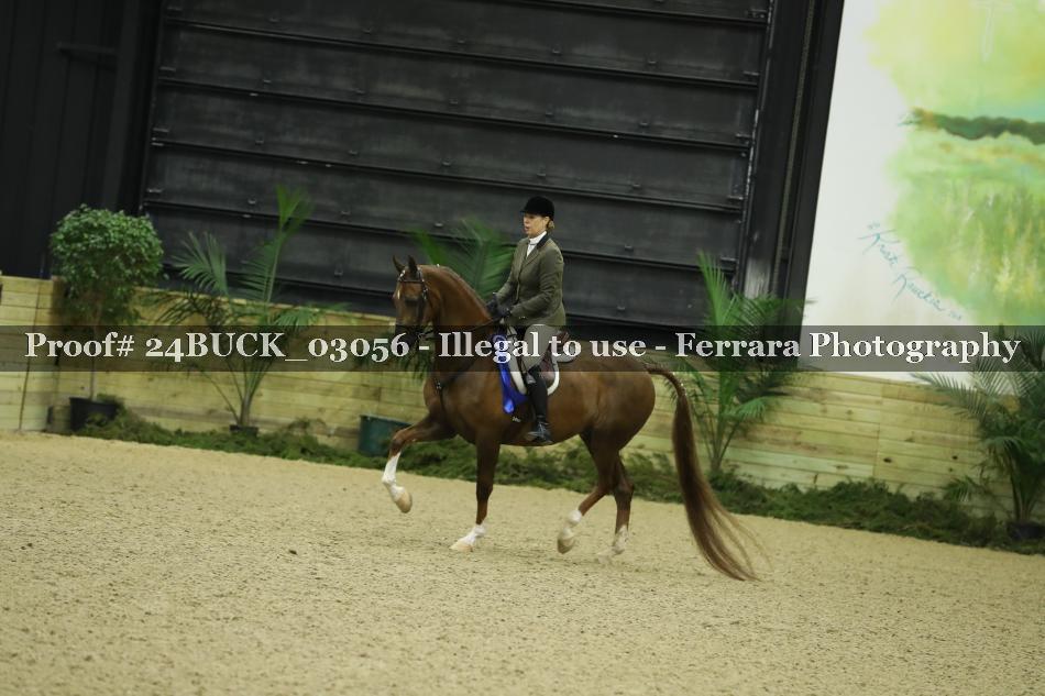 Proof 24BUCK_03056