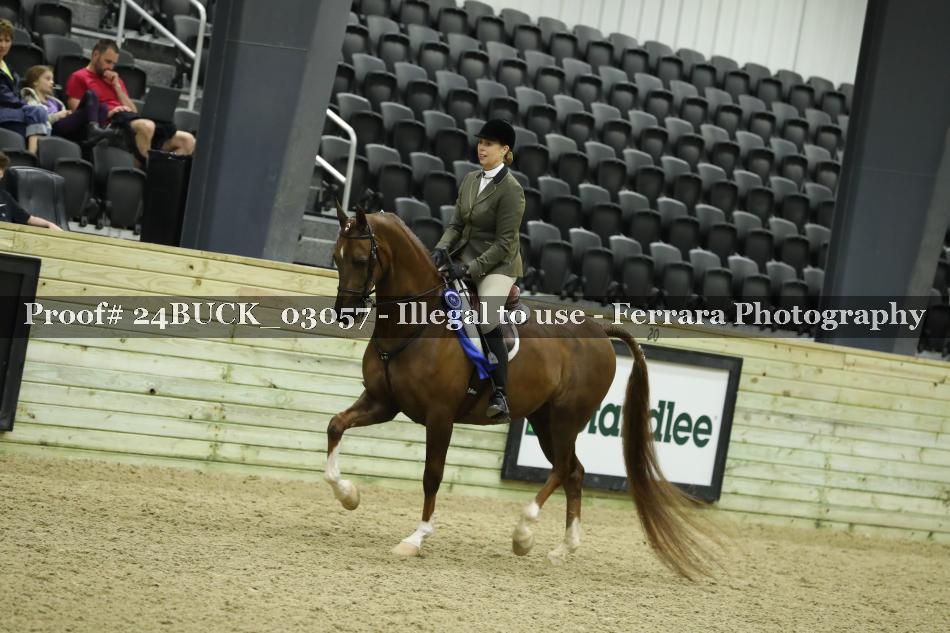 Proof 24BUCK_03057
