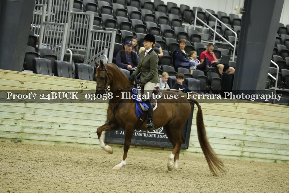 Proof 24BUCK_03058