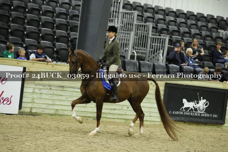 Proof 24BUCK_03059