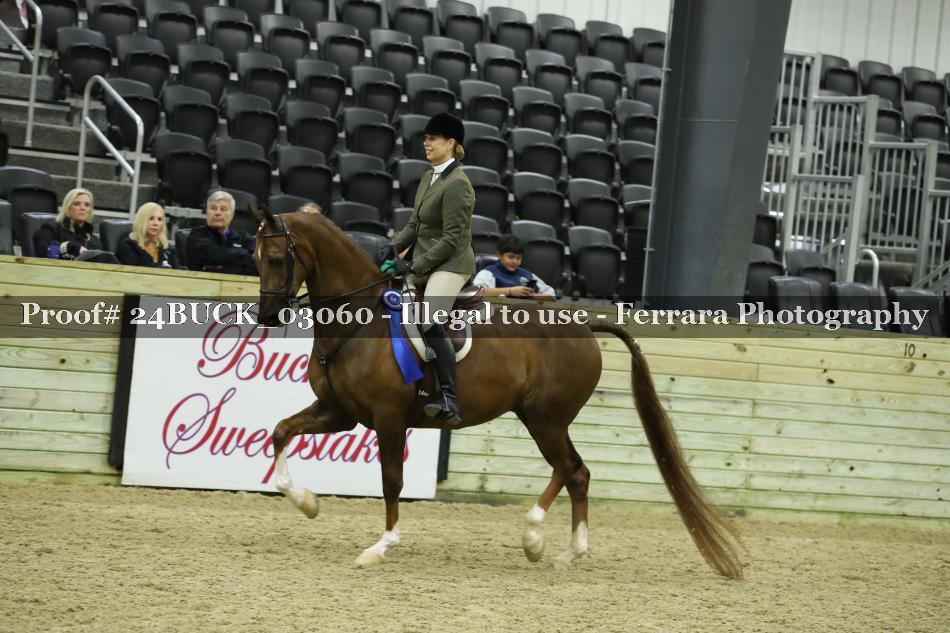 Proof 24BUCK_03060