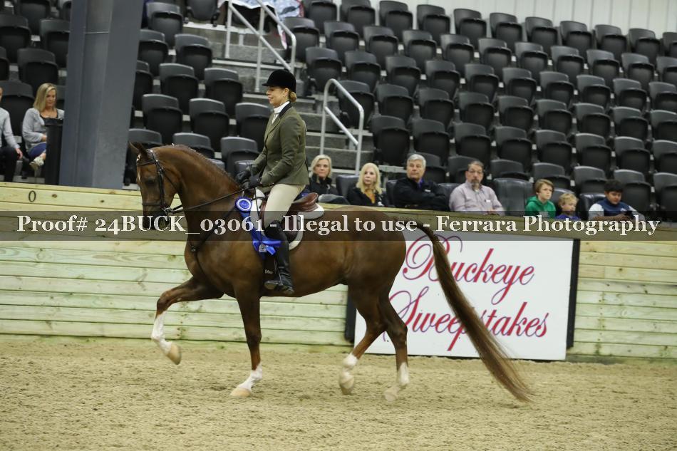 Proof 24BUCK_03061