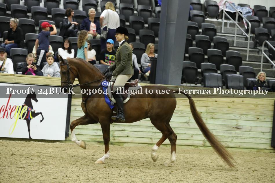 Proof 24BUCK_03064