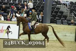 24BUCK_03064 proof