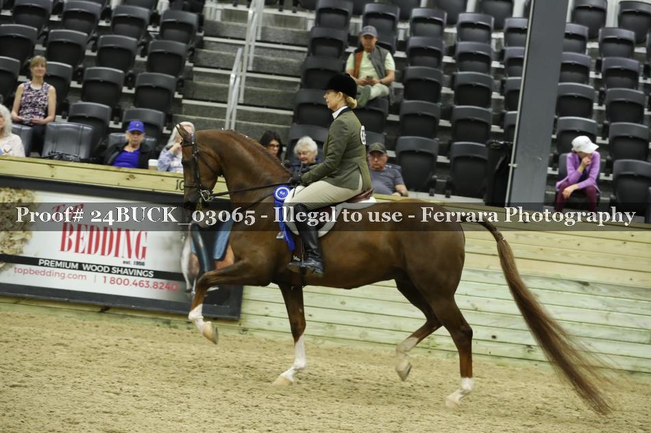 Proof 24BUCK_03065