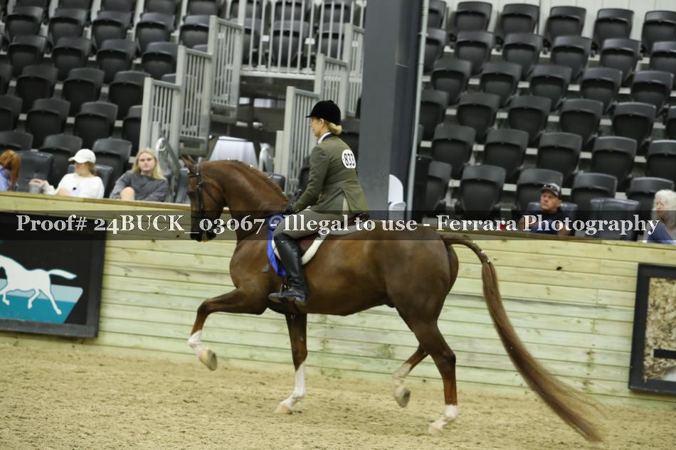 Proof 24BUCK_03067