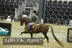 24BUCK_03067 proof