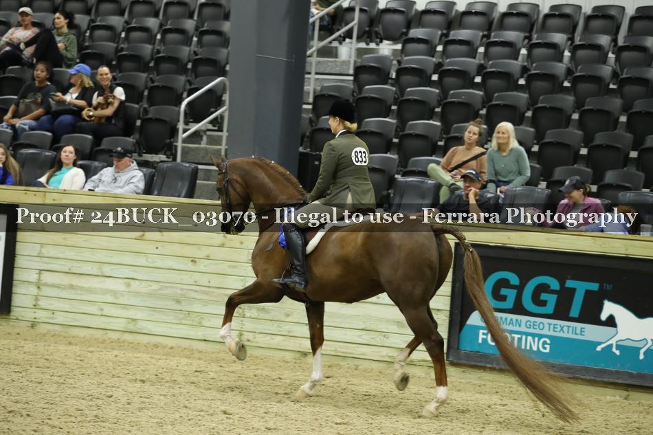 Proof 24BUCK_03070