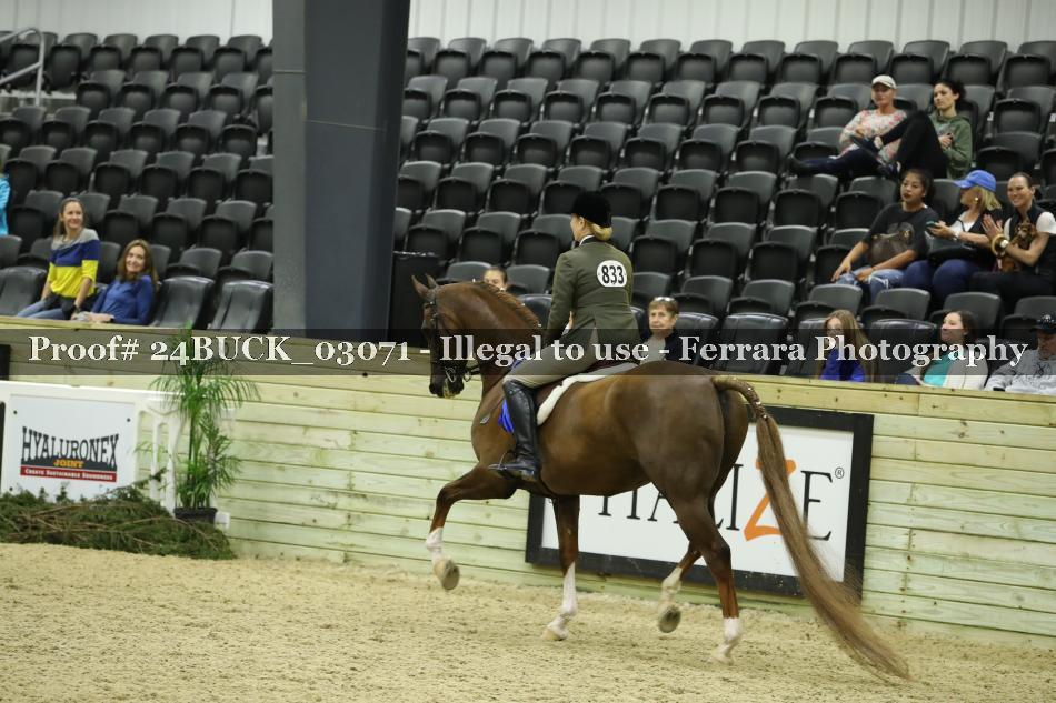 Proof 24BUCK_03071