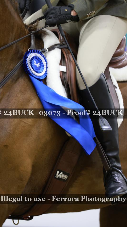 Proof 24BUCK_03073