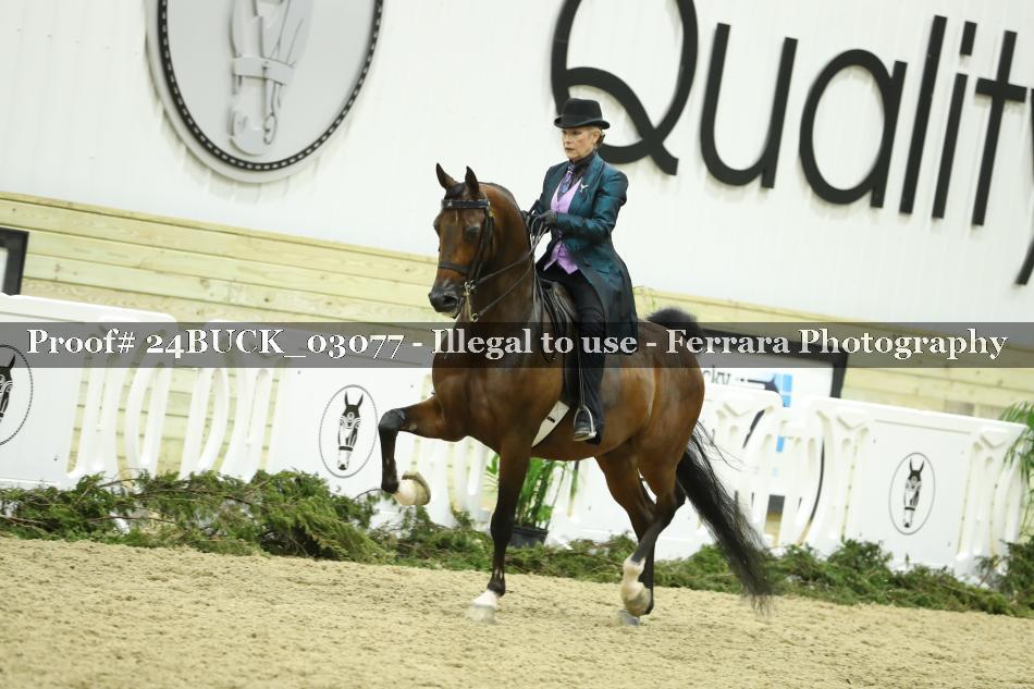 Proof 24BUCK_03077