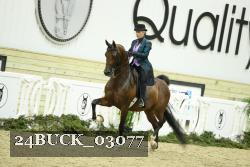 24BUCK_03077 proof