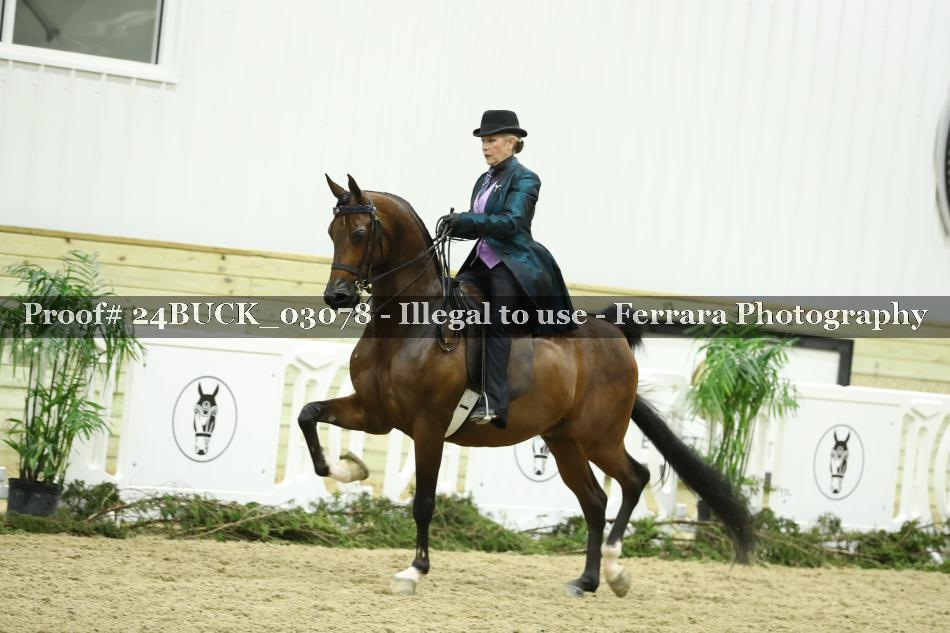 Proof 24BUCK_03078