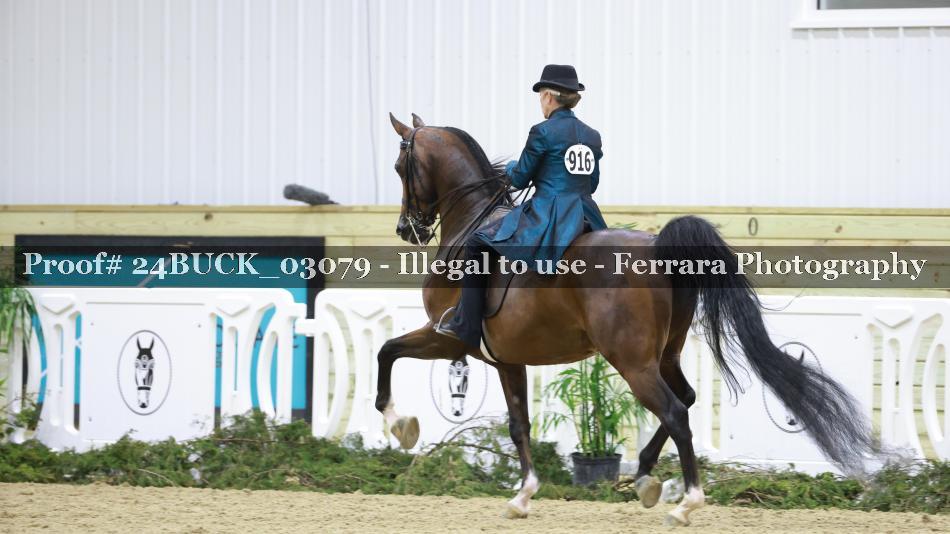 Proof 24BUCK_03079