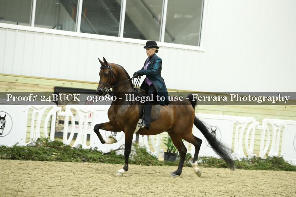 Proof 24BUCK_03080
