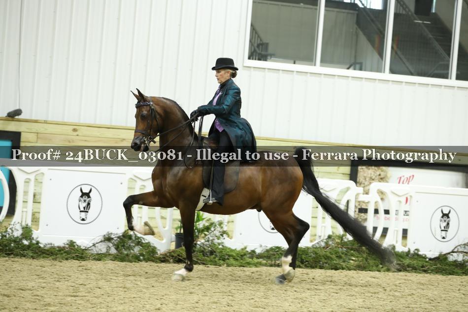 Proof 24BUCK_03081