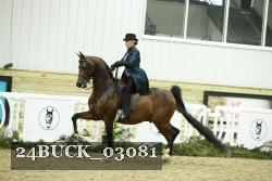 24BUCK_03081 proof
