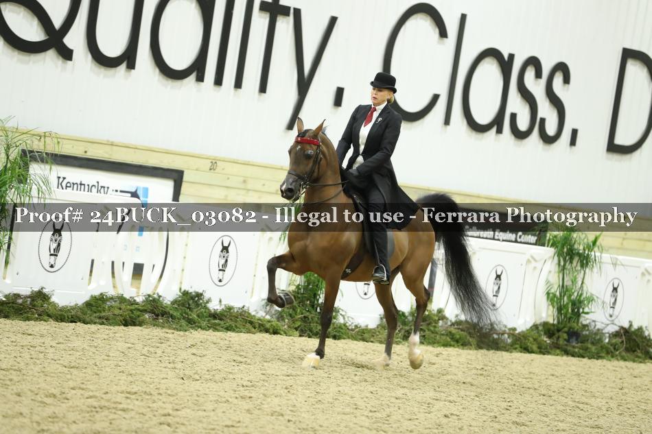 Proof 24BUCK_03082