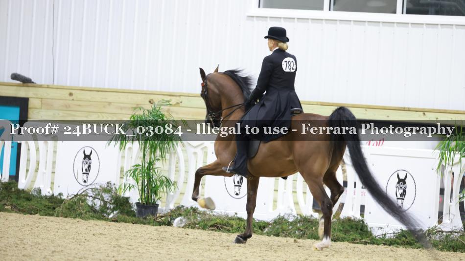 Proof 24BUCK_03084