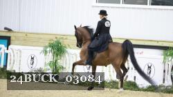 24BUCK_03084 proof