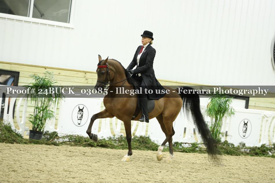 Proof 24BUCK_03085