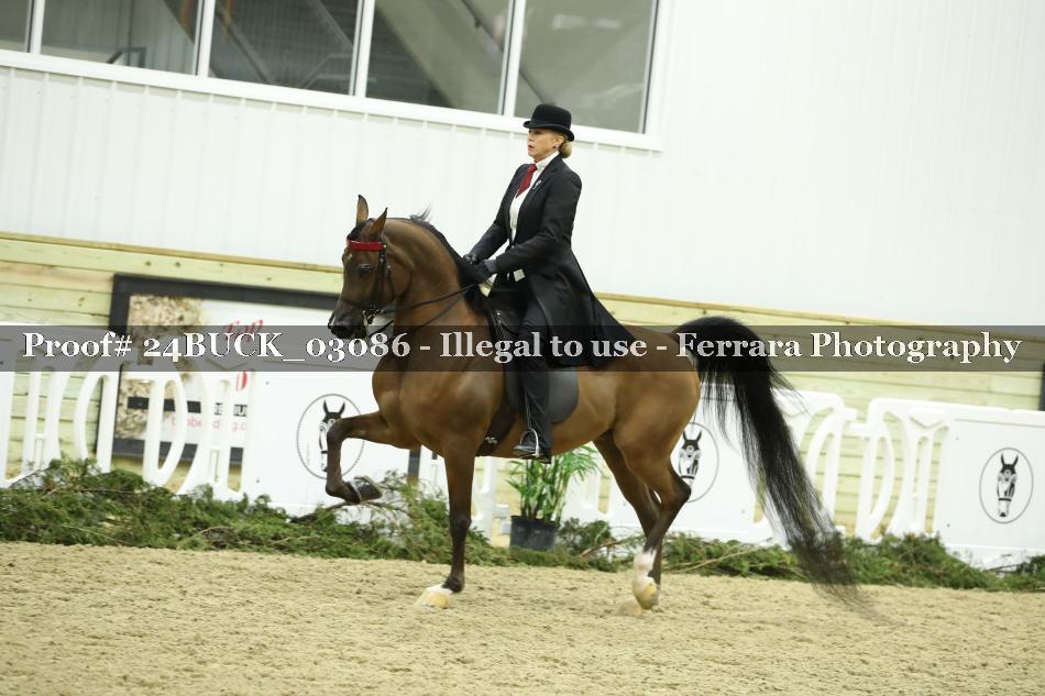 Proof 24BUCK_03086